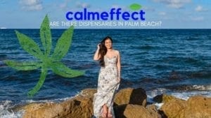 Are there dispensaries in Palm Beach BLOG BANNER