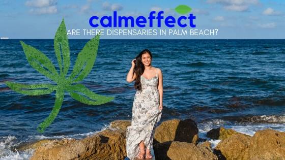 Are there dispensaries in Palm Beach?