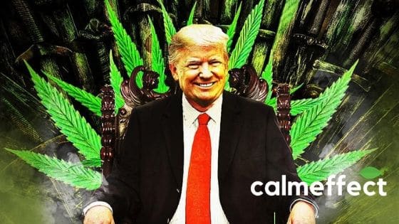 How do Trump and Sessions Feel About Medical Marijuana
