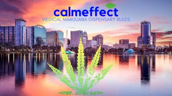 Medical Marijuana Dispensary Rules