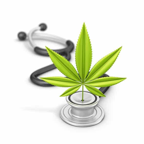 medical marijuana doctors