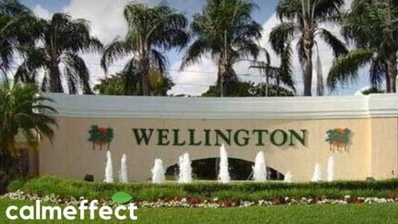 Palm Beach County Dispensary Update - Wellington, Florida