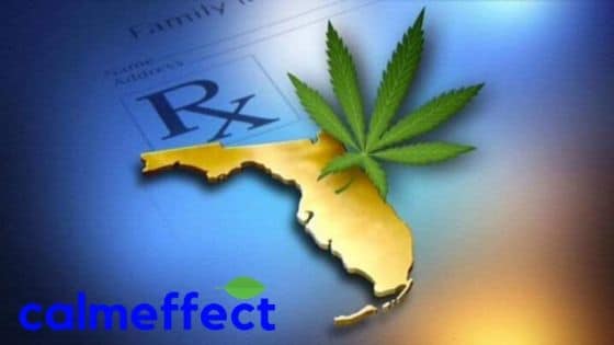 Medical Marijuana News Around Florida