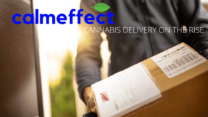 CANNABIS DELIVERY ON THE RISE BLOG BANNER