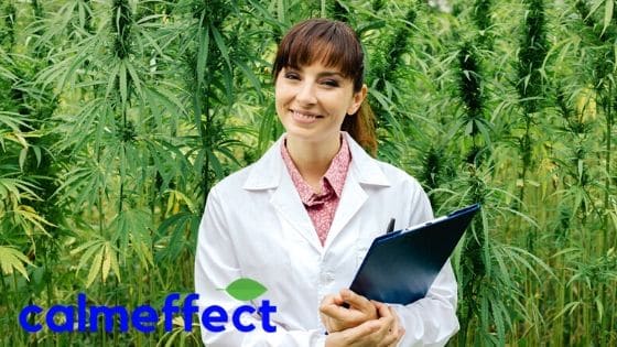 Looking for a job in the Florida Medical Marijuana Industry