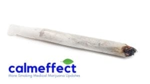 More Smoking Medical Marijuana Updates BLOG BANNER