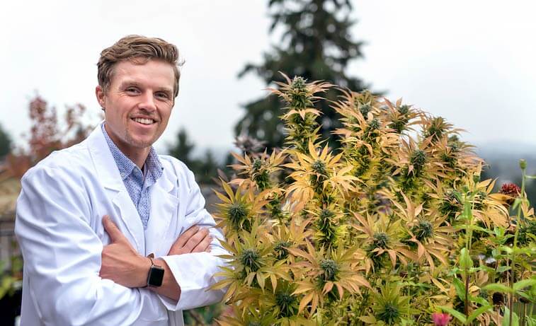 Adult male physician standing next to cannabis plant