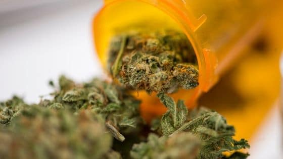 Five Medical Marijuana Myths That Aren't True