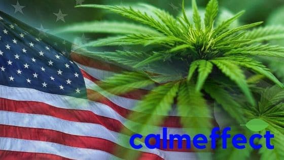 Medical Marijuana Legal at the Federal Level