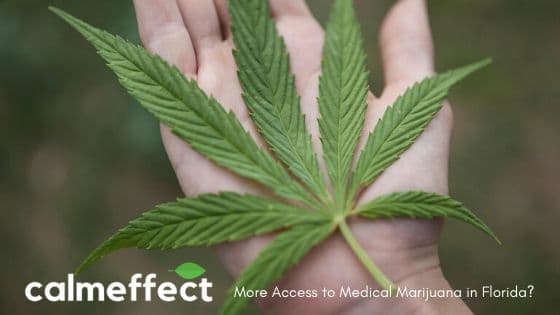 More Access to Medical Marijuana in Florida?