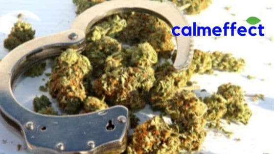 Police Enforcement Laws and Medical Marijuana
