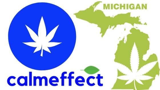 Recreational Medical Marijuana Now Legal in Michigan