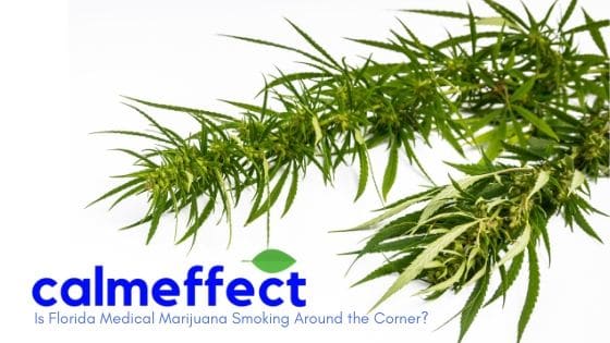 Is Florida Medical Marijuana Smoking Around the Corner?