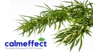 Cannabis Smoking at Golf Courses BLOG BANNER