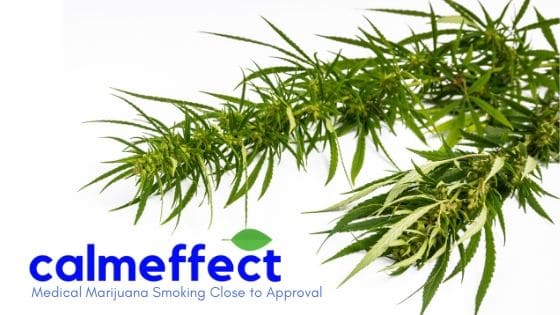 Medical Marijuana Smoking Close to Approval