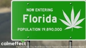 Important Info You Must Know About Floridas Medical Cannabis WorldBLOG BANNER