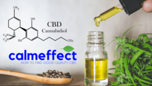 How to Find Good Quality CBD BLOG BANNER