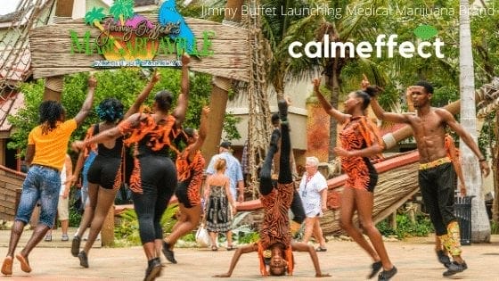 Lifestyle and Wellness Blog with CalmEffect