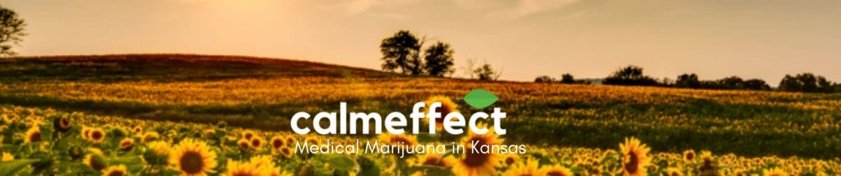 Medical Marijuana in Kansas