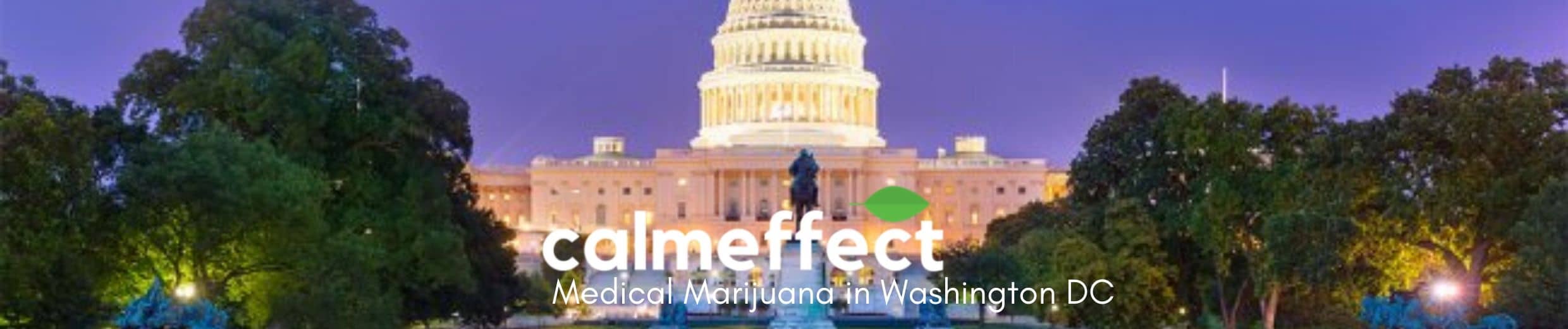 Medical Marijuana in Washington DC