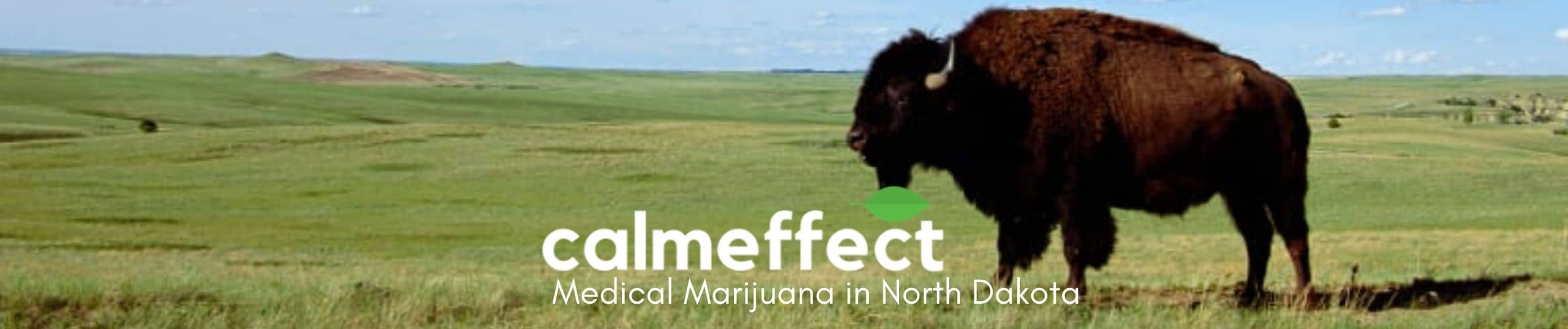 Medical Marijuana in North Dakota