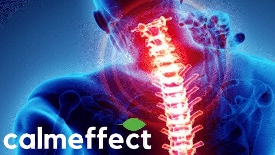 Cannabis for Back Pain Relief
