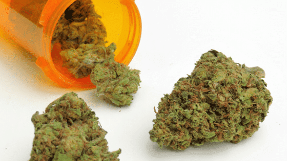 3 New Updates About Smoking Medical Marijuana in Florida