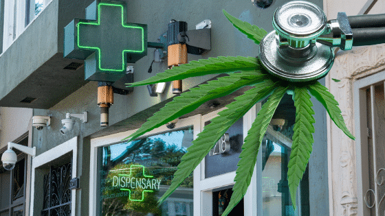 Florida Medical Marijuana Starter Guide