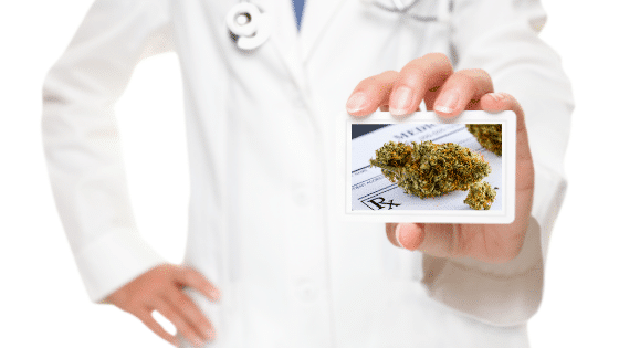 Florida Medical Marijuana Starter Guide