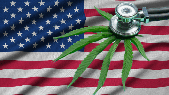 Getting Your Medical Marijuana Card in Your State