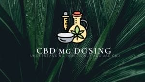 CBD mg DOSING 300x169 1