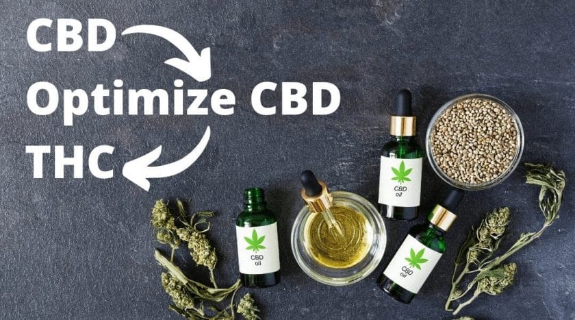 Try CBD Before You Try THC