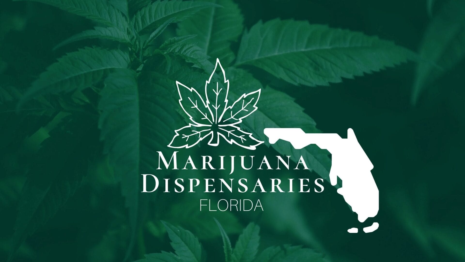 Marijuana Dispensaries in Florida
