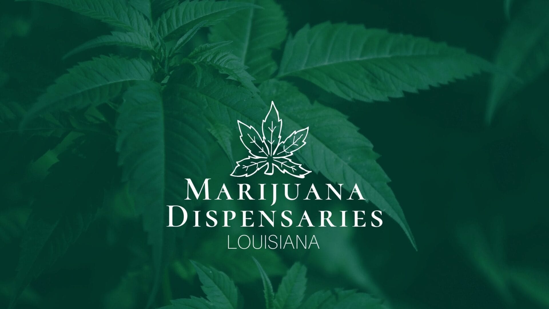 Marijuana Dispensaries in Louisiana