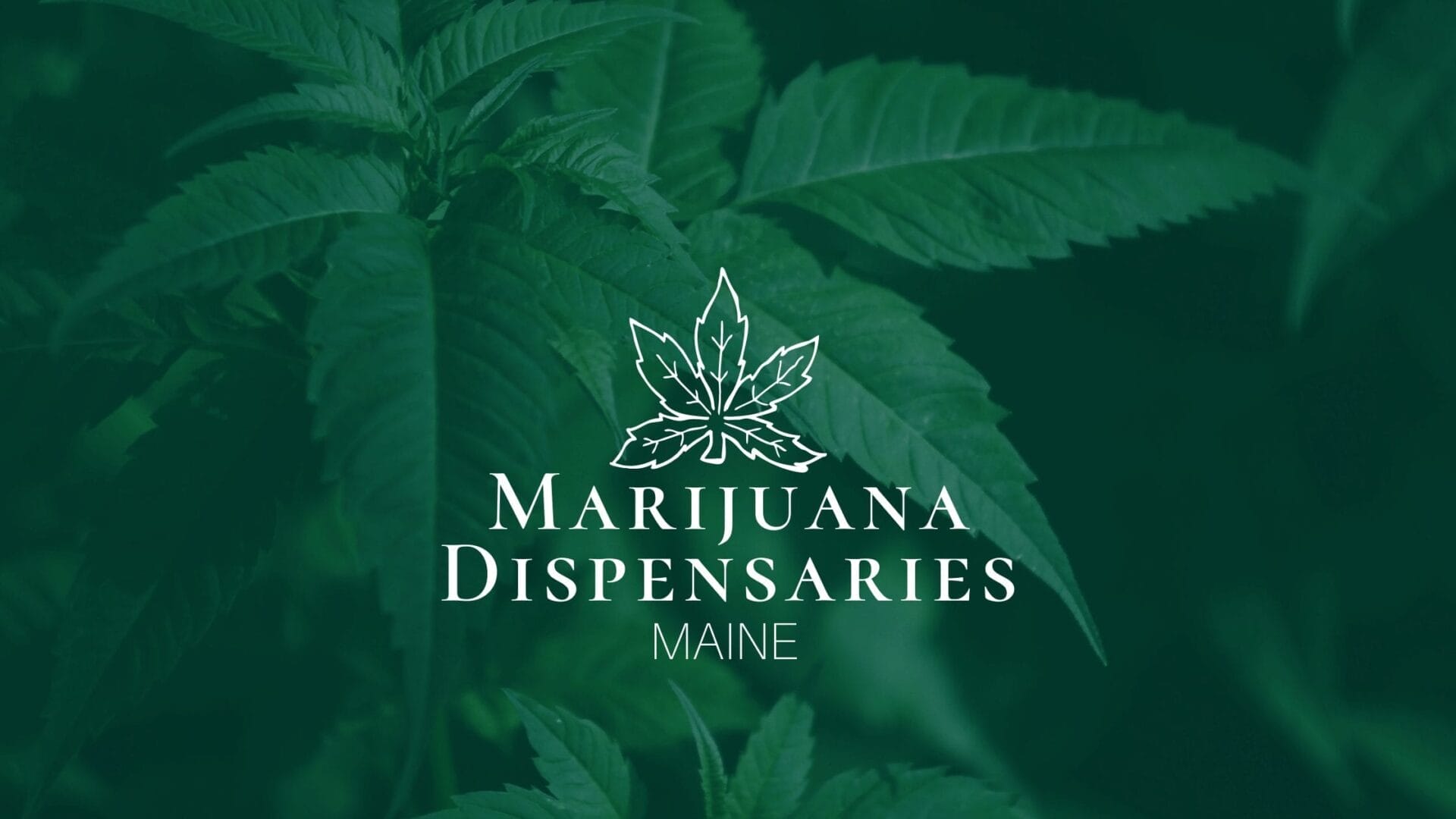 Marijuana Dispensaries in Maine