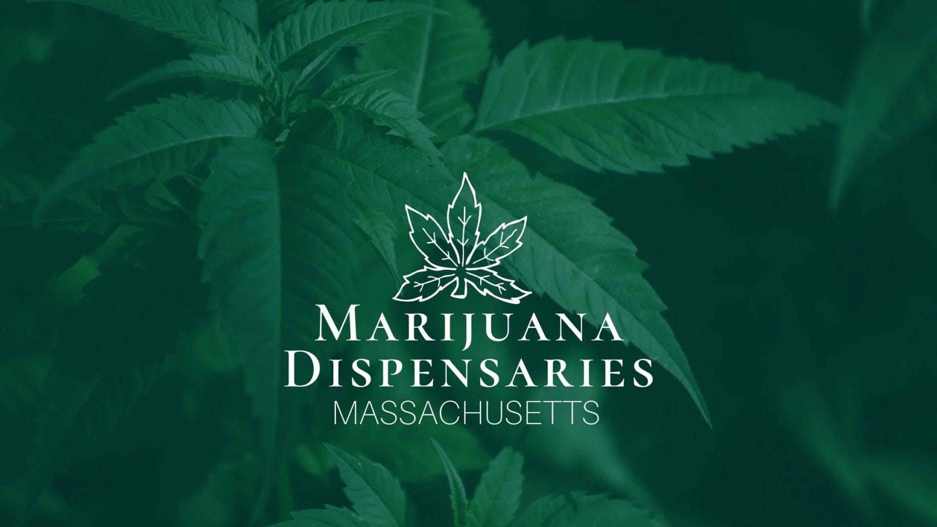 Marijuana Dispensaries in Massachusetts