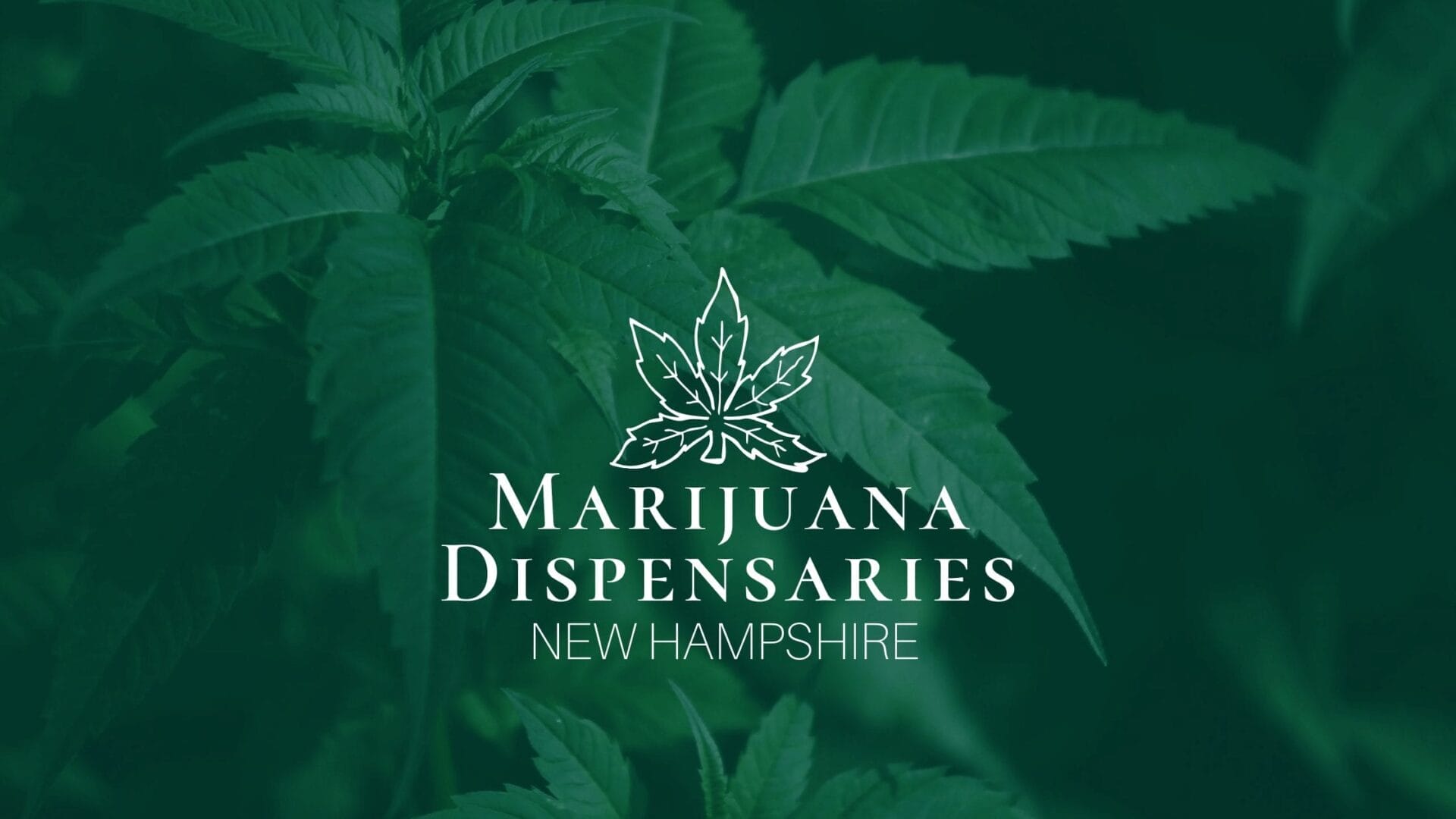 Marijuana Dispensaries in New Hampshire