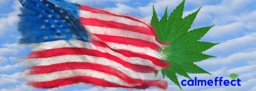 Push To Pass Marijuana Legalization Bill By Next Month