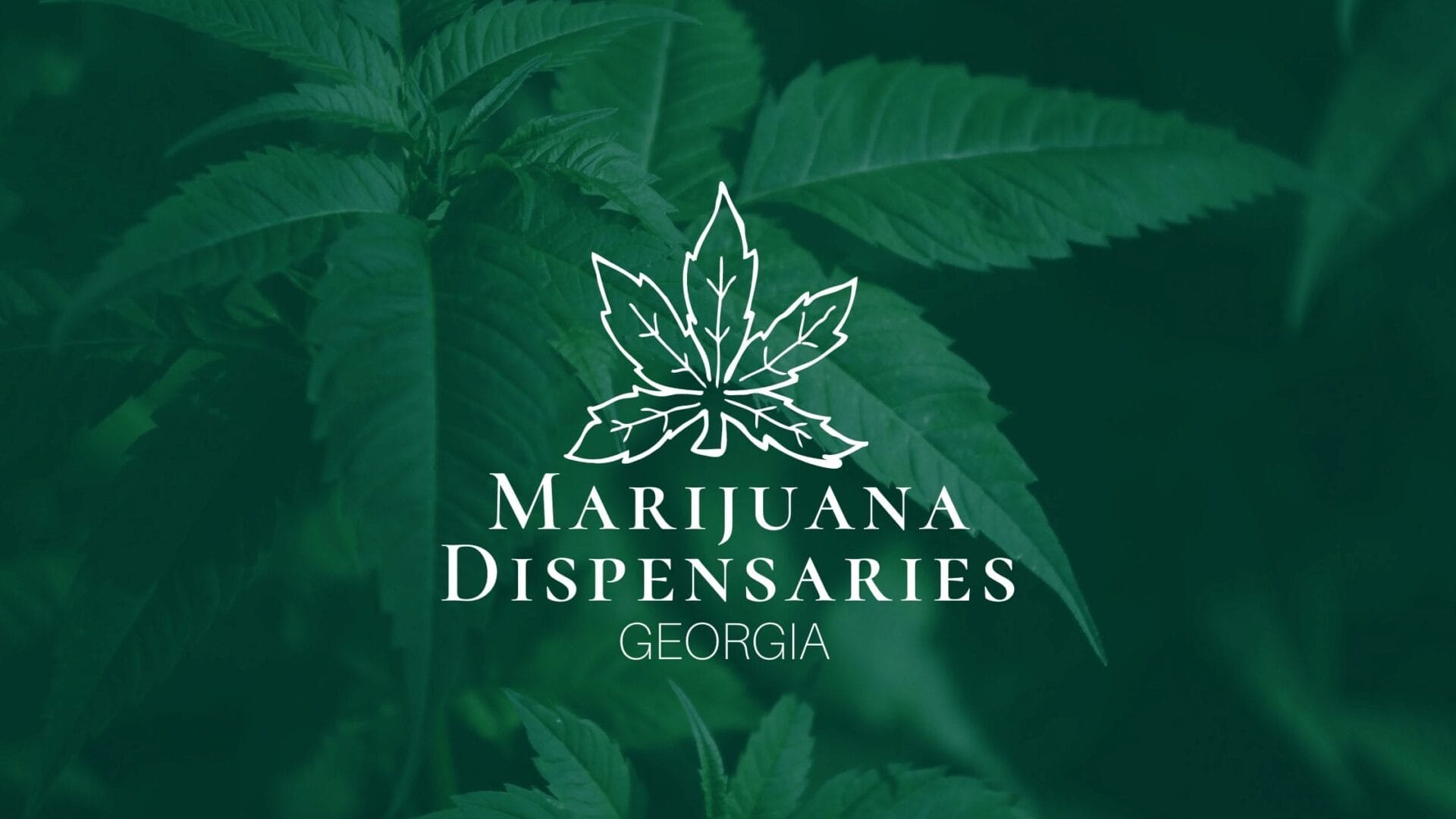 Marijuana Dispensaries in Georgia