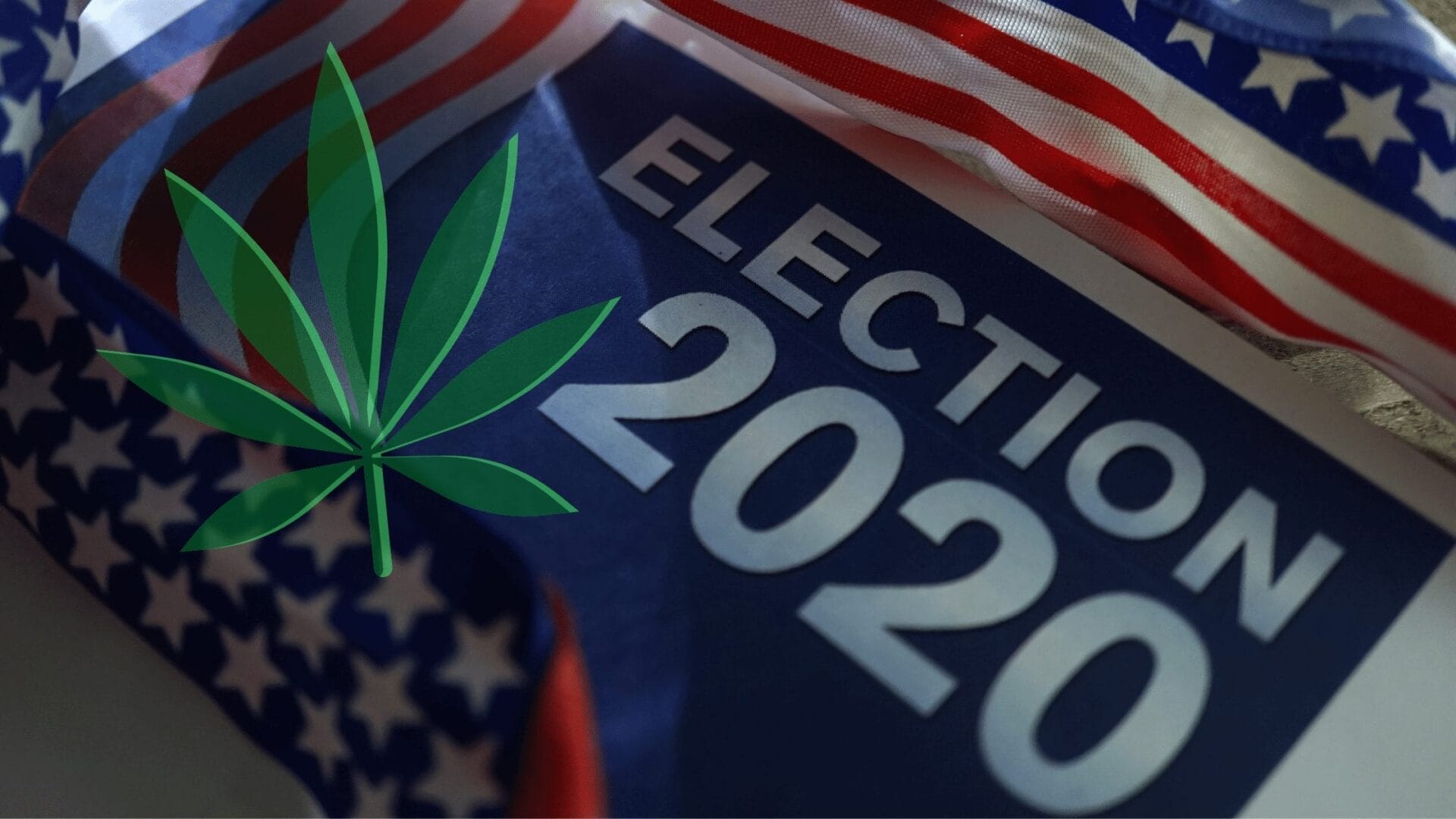 2020 Election Results about Marijuana